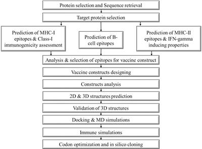 Structural informatics approach for designing an epitope-based vaccine against the brain-eating Naegleria fowleri